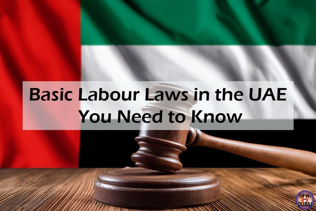 Basic-Labour-Laws-in-the-UAE-You-Need-to-Know