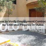 How-to-Verify-Empluyment-Contracts-in-Dubai