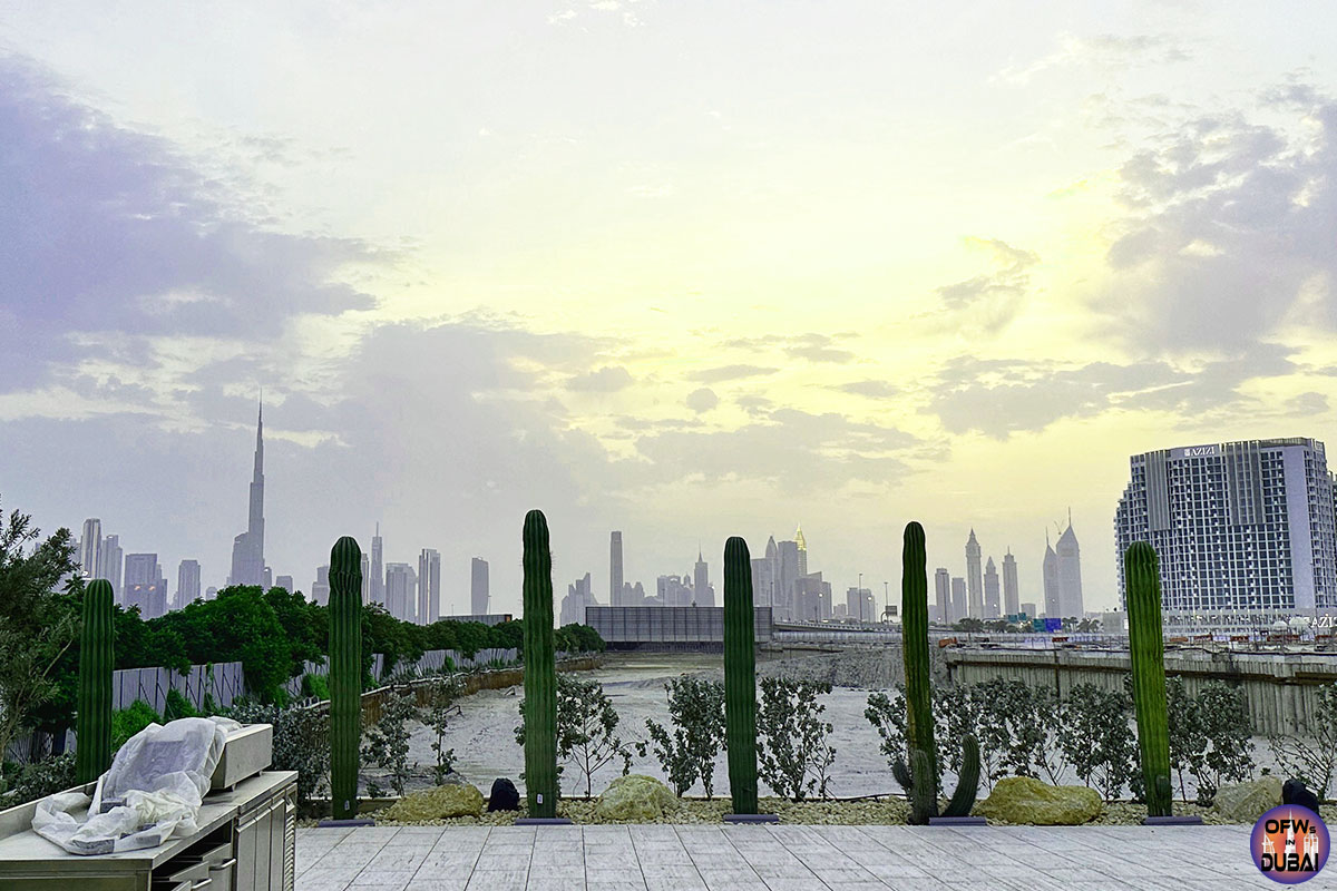 Dubai-Skyline-from-Cactus-Park-in-Al-Jaddaf