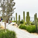 Exploring-Cactus-Park-in-Jaddaf---A-New-Tourist-Spot-in-Dubai