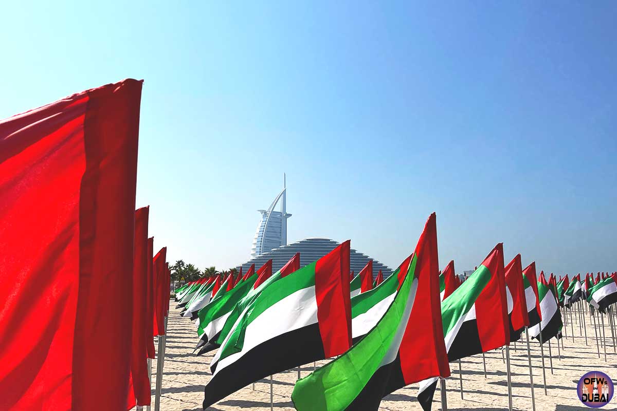 UAE Flag Garden